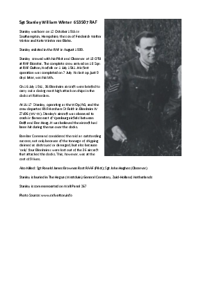 A preview of a PDF biography for Winter, Stanley William